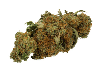 New Mexico legal marijuana / pot sales tax rate